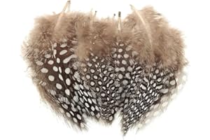 SamHeng Plumes de Pintade, Paquet de 100 Plumes Mouchetées Naturelles pour Bricolage Art Artisanat Collage Coiffure Maison Mariage Anniversaire Décoration de Fête
