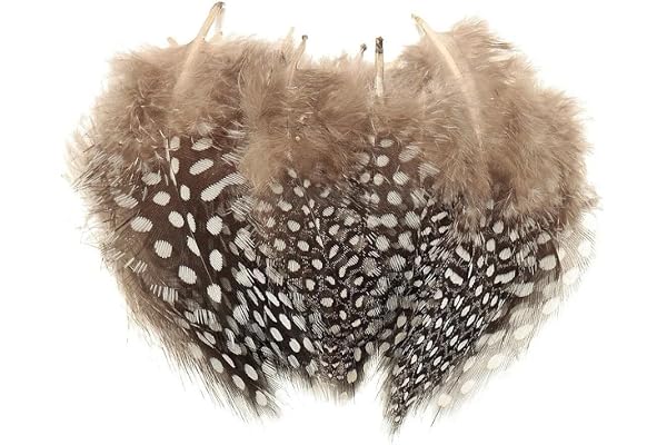 SamHeng Plumes de Pintade, Paquet de 100 Plumes Mouchetées Naturelles pour Bricolage Art Artisanat Collage Coiffure Maison Mariage Anniversaire Décoration de Fête