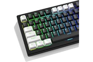 GMKWTL XVX Schwarz-Weiß-Tastenkappen, glänzende PBT-Tastenkappen, Kirsch-Profil, benutzerdefinierte Tastenkappen Doubleshot 124 Tasten, universelle Kompatibilität für 60%, 65%, 75%, 100% Tastatur