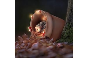 Muldale Hedgehog Garden Ornament Solar Light - Hand Painted Light Up Plant Pot Statue - Great for Outdoor Decor - Gift Boxed - 14.8cm - Hamish