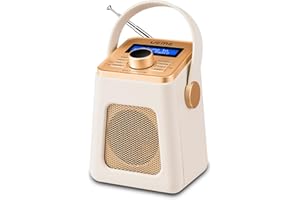 UEME Mini DAB/DAB+ FM Wireless Bluetooth Rechargeable Radio - Mushroom …