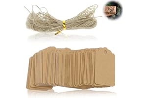 COZEVDNT Geschenkanhänger Kraftpapier Preisschilder Hängeetiketten Markierungsetiketten, 100 STK Geschenkanhänger Etiketten Kraftpapier Natural Craft Card, mit 20 Meter Jute Schnur für Handmade