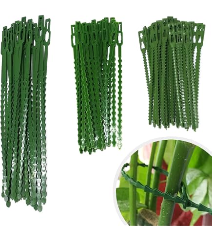 Attache-plante Vert - Lot De 50 - Réutilisable - Jardinage Facile