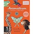 Animalium (Junior Edition) (Welcome To The Museum): Amazon.co.uk: Broom ...