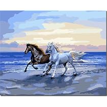 YEESAM Art Malen Nach Zahlen Kit - 'Zwei Pferde Und Hunde', 40,6 X 50,8 Cm Leinwand, Inkl. Farben, Pinsel & Optional Mit Rahmen