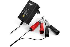 ‎ANSMANN ANSMANN Batterie Ladegerät 2V/6V/12V mit Erhaltungsladung zum Einlagern von Blei Akkus (Gel, Wet, MF, VRLA, AGM) für Oldtimer, Motorrad, Roller, Rasenmäher, Boote usw.