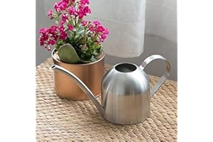 Asvert Arrosoir Plante Interieur Arrosoir Plante en Acier Inoxydable, Petit Arrosoir avec Bec pour Maison, Jardin, Plantes Succulentes