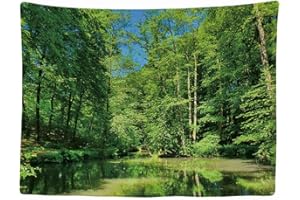 Ulticool - Árboles Naturaleza Agua Veluwe Los Países Bajos - Tapiz - 200x150 cm - Tapiz Grande - Decoración de Póster - Decoración - Papel Pintado - Lienzo - Pintura - Accesorios Separadores de