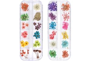 TEOYALL 24 Colors Dried Flowers for Nail Art, 2 Boxes 3D Dry Flowers Nail Stickers Colorful Natural Real Flower Nail Decals (A)