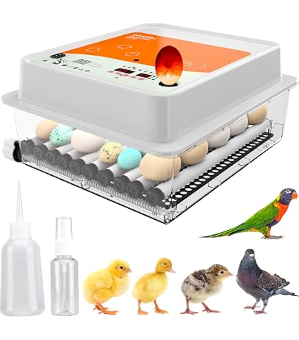 Incubateur Automatique Fudajo 15 œufs - Retournement Auto, Contrôle Humidité, Alimentation De Secours 40W - 11