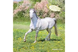 ‎ALPHA EDITION Alpha Edition - Pferde 2025 Broschürenkalender, 30x30cm, Wandkalender mit Platz für Notizen und Termine, beeindruckende Motive von Pferden, Monatsübersicht und Ferientermine DE/AT/CH