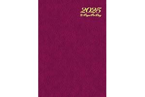 2 Pages Per Day Diary 2025 A4: Two full pages for each day of the week with bank holidays, pages to record important dates, monthly accounts, customer ... name and telephone number. paperback.