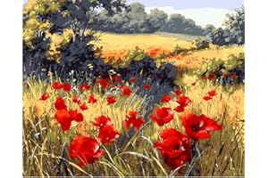 YEESAM ART Paint by Numbers for Adults Beginner, Poppies Wildflowers 16x20 Inch Linen Canvas Acrylic DIY Number Painting Kits for Home Wall Decor (Poppies, Without Frame)