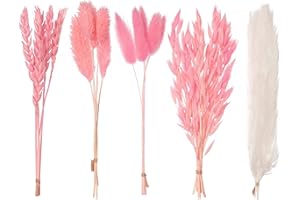 The Baked Studio - Original Dried Flower Set Containing Pampas, Oats, Wheat, Lagarus Bunny Tails & Phalaris For Cake & Cupcake Decorating & Others Crafts (Hot Pink)