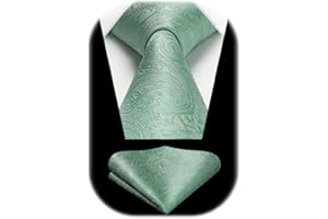 HISDERN Paisley Floral Corbatas de Hombre Modernas Corbata y Pañuelo de Bolsillo a Juego Clasica para Boda Fiesta Business