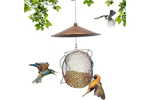 ONESHLEE Mangiatoia Per Uccellini Da Esterno, Mangiatoia Per Uccelli Da Appendere, Mangiatoie Per Uccelli Selvatici In Metallo, Mangiatoia Per Uccelli, Mangiatoie Per Uccelli Giardino, Mangiatoie Per Uccelli