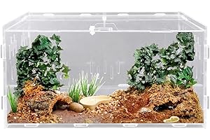 GOMETY Boîte d'alimentation en acrylique pour reptiles, escargots, terrariums, reptiles, terrariums, caisses de transport, pour tortues d'eau, araignées, cancers ermites, hamsters, lézards
