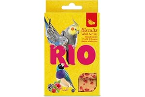 ptaków; dodatkowa; ptak; ptaki; klasy; premium; mealberry; informacja; rio; karma; biscuit; odżywianie; przekąski; dodatkowe; biskquit