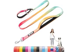 TSPRO Correas para Perros Manos Libres, Ajustables y Resistentes, con Mango Acolchado Suave y Hebilla de Metal, Ideales para Perros de Tamaño Mediano a Grande (Degradado Naranja Rojo Cyan)