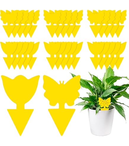 50Pcs Trappola per Mosche, Insetti Mosche Trappole, Giallo due Lati Adesivi Trappole Appiccicose,Flycatcher per Insetti Volanti, Cimici, Zanzare, Afidi, Ideale per Piante Sul Balcone o in Giardino