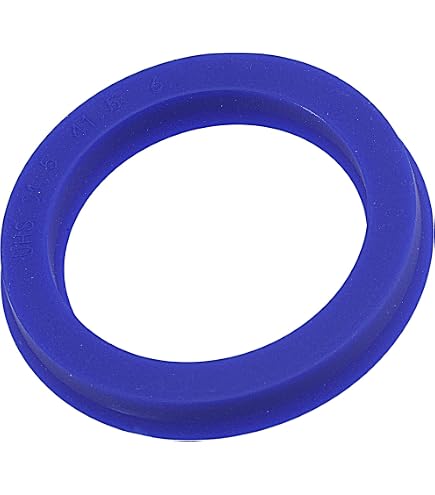 Wellendichtring BASL 55 x 70 x 10 mm WAS Simmerring Wellendichtring BASL 55 x 70 x 10 mm WAS Simmerring