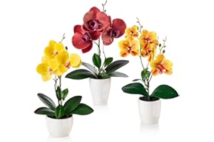 ‎PASCH PASCH® Artificial Flowers in Pot (35 cm) - Set of 3 Orchids Artificially Matched Arrangement in High Gloss Ceramic Pots, Decorative Flowers Artificial, Artificial Orchids (Red Orange Yellow)