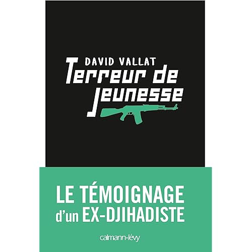 By David Vallat Terreur De Jeunesse Pdf Epub Lire