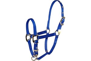 Hamilton 8DA SMBL 3/4-Inch Nylon Adjustable Arabian Horse Halter for 500 to 800-Pound Horse, Blue