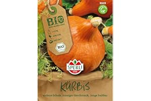 Sperli Gemüsesamen Hokkaido-Kürbis Solor Bio-Saatgut, grün