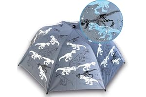 HECKBO Paraguas infantil para niños Magic & Reflector - dinosaurio - cambia de color cuando llueve - visibilidad de 360° en el tráfico - paraguas plegable: cabe en cualquier mochila escolar.