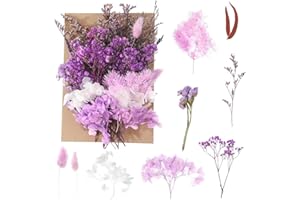 BOLOSA Natural Dried Flowers, Pressed Flowers Real Dried Pressed Flowers and Leaves Dried Flowers Set for Scrapbooking DIY Candle Resin Jewelry Crafts Card Making (Deep Purple)