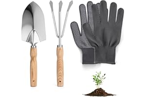 DYMHQ Kit Cadeau D'Outils Manuels de Transplantation de Jardinage, 2Pcs Ensemble Petite Pelle et Fourchette à Planter en Acier Inoxydable, Petite Râteaux et Pelle avec Manche en Bois Gants pour Planter