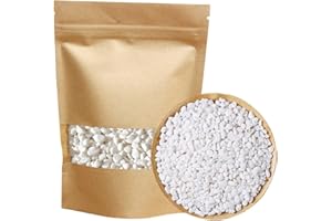 TOYPOPOR Mini galets décoratifs blancs pour vase - Cactus - Bonsaï - Bricolage - Plante de jardin - Gravier intérieur et extérieur - Pour aquarium, terrarium, jardinage féérique, revêtement supérieur - 1 kg