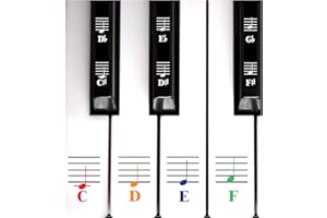 QMG Pegatinas de piano de color para llaves blancas y negras