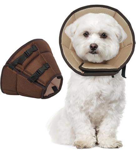 Collare Protettivo Trixie Per Cani - Chiusura In Velcro, Taglia Piccola