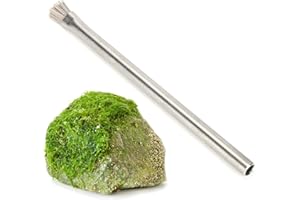 CERSALT Brosse à algues en Acier Inoxydable, Brosse à algues en Pierre Brosse à algues pour Aquarium pour Aquarium pour béton pour Aquarium en Verre
