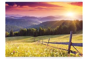 murando - Carta da Parati Adesiva Paesaggio Montagna 392x280 cm Fotomurali Adesivi Murali Rivestimento Parete Moderna per Pareti Adesiva Muro Decorativo Fotomurale Soggiorno Prato Foresta Natura