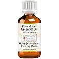 Greenwood Essential Pure Mace Essential Oil (Myristica fragrans) Steam Distilled 5ml (0.16 oz)