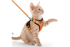 rabbitgoo Pettorina Gatto Antifuga con Guinzaglio, Guinzaglio per Gatti Regolabile, Pettorina Cane Taglia Piccola Riflettente, Imbracatura Gatto Adulto in Maglia Traspirante, Arancia, XXS