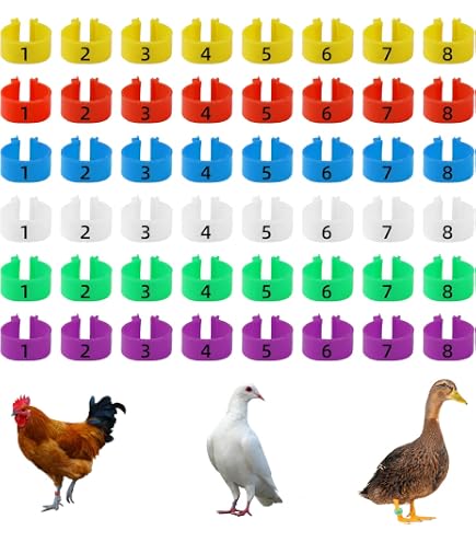 40 Bunte Vogel-Fußringe Mit Montagehilfe – Weiche Beinbänder Für Papagei, Fink, Kanarienvogel & Ziervögel (2,3 Mm / 3 Mm)
