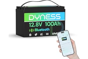 Dyness Batterie Lithium 12V 100 Ah Bluetooth LiFePO4 avec Protection 100A BMS, Batterie Lithium Camping-Car pour kit Panneau Solaire, Caravane, Alimentation de Secours