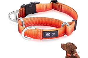 Arblina Martingale Hundehalsband, Reflektierendes Zugstopp Halsband Hunde für Große Mittlere und Kleine Hunde, Nylon Zughalsband mit Stopp für Hunde Whippets, Greyhounds, Saluki, Orange,L