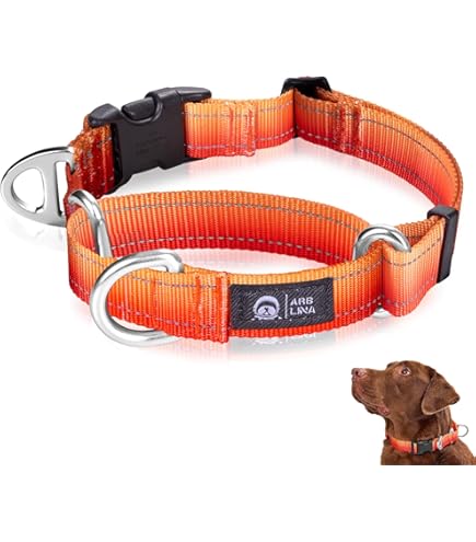 Martingale Hundehalsband - Nylon Würgehalsband Für Kleine Hunde