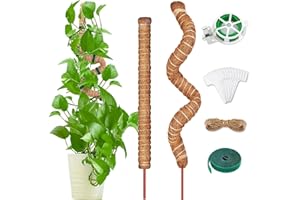 GNEUFVIE Pflanzenstab Rankhilfe 2 Pack, Monstera Rankhilfe 70cm und 100cm, Biegsame Kokosfaser Moosstab Pflanzstab Stab für Kletterpflanzen Natürlicher Pflanzenstütze mit Zubehör