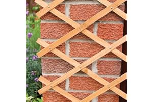 MD MUZ Natural 5ft x 2ft EXPANDING WOODEN TRELLIS Garden Climbing Plant Rose Flower Wood