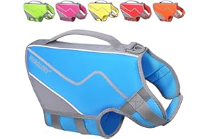 VIVAGLORY Life Jacket for Dogs of Sports Style, Heavy Duty Pet Safety Vest, Comfortable Neoprene Lifejackets with Hook & Loop Closure, Blue, Medium