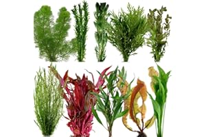 PARTY IN MY PLANTS Live Aquarium Plant Stems Bunched for Tropical Fish Tanks Coldwater Aquatic Assorted Plant Variety (5)