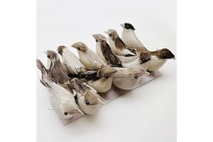 Attuslla 12 Pz Pájaros de Imitación con Plumas, Modelo de Pájaro Artificial Pluma Figura de Pájaro, Pajaros Decorativos Jardin para decoración de Plantas de Jardín Decoración en Miniatura