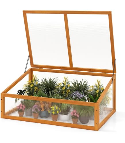 UISEBRT Serra da Giardino Serra per Pomodori, 180 x 90 x 90 cm, con pellicola protettiva impermeabile, 2 porte arrotolabili, serra per giardino, balcone, verde