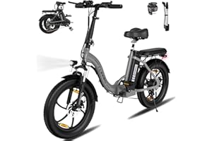 ELEKGO Bicicleta Eléctrica, 20"*3.0 Fat Tire Bici Eléctrica Plegable con Motor de 250W, 36V 12Ah Batería Extraíble, Asistencia de Pedal, 7-Velocidades Bicicleta Montaña Ebike para Unisex Adulto